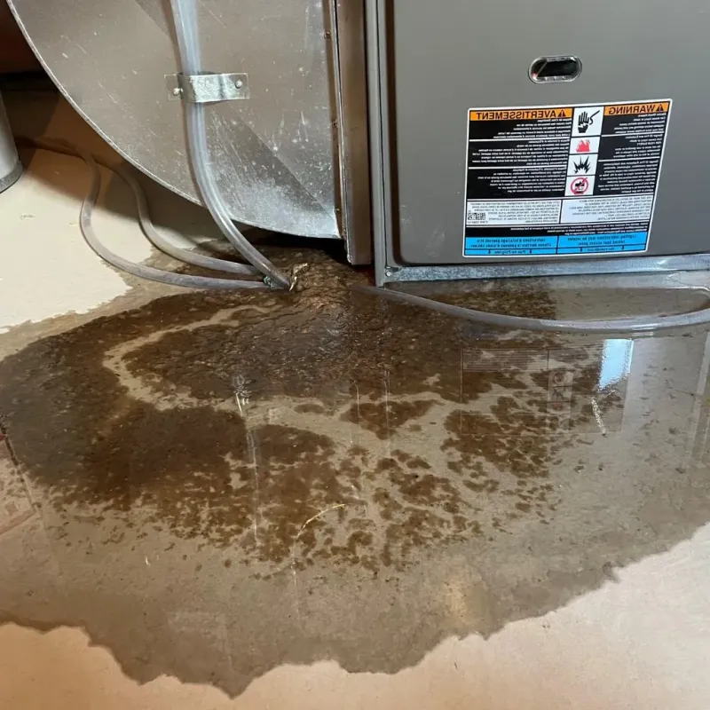Pipe Burst and Leak Restoration in Plover, WI
