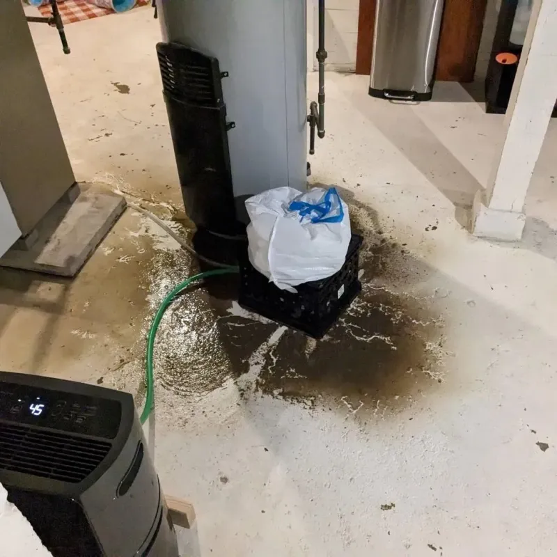 Sewage Backup Cleanup Service in Plover, WI
